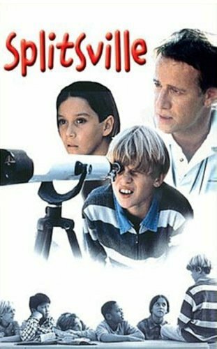 Развод и семеро детей (1998)